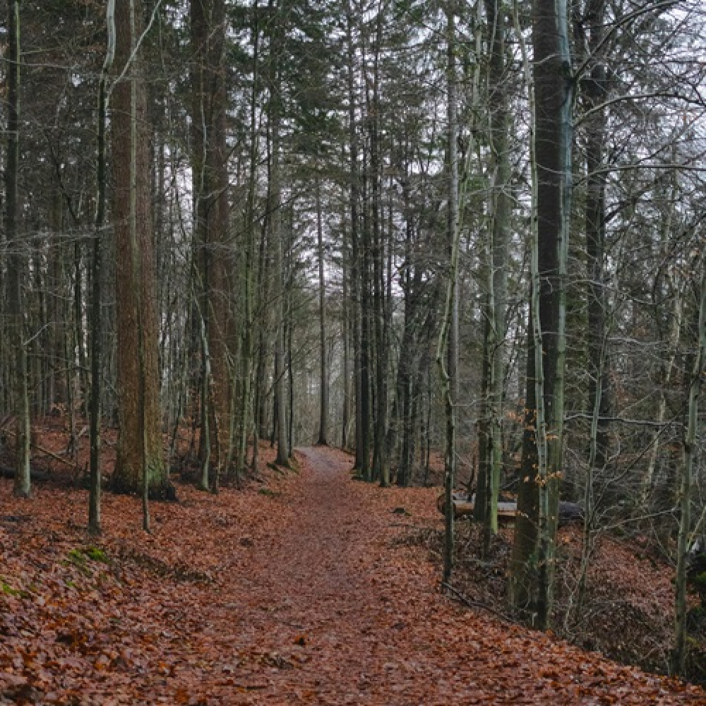 349-main-image