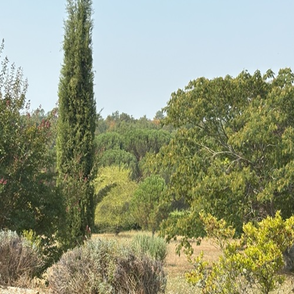 426-main-image