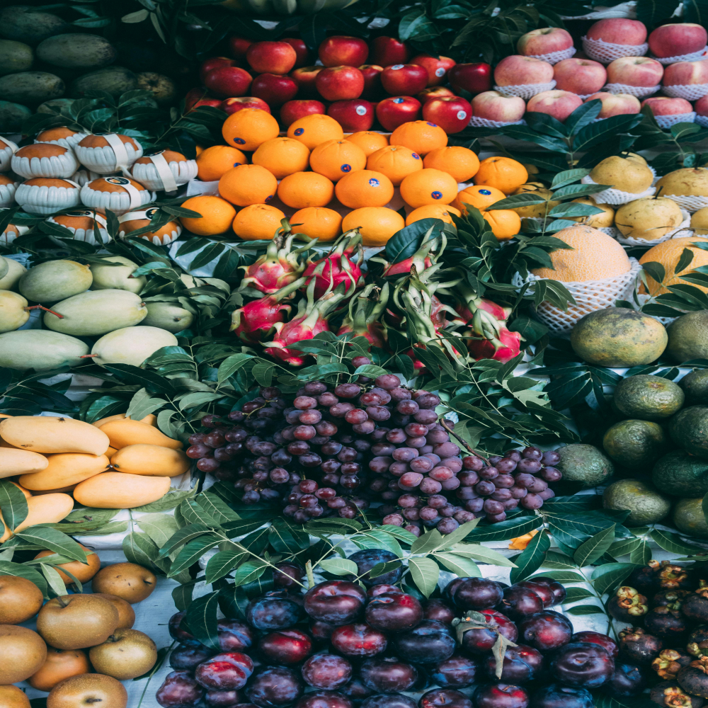 The Importance of our Food